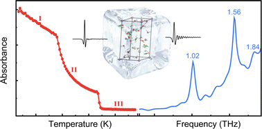 Graphical abstract: Monitoring MgCl2 hydrate formation from aqueous solutions using terahertz time-domain spectroscopy