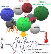Graphical abstract: Three mechanisms of room temperature dynamic nuclear polarization occur simultaneously in an ionic liquid