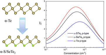 Graphical abstract: Ultrahigh thermoelectric performance of Janus α-STe2 and α-SeTe2 monolayers