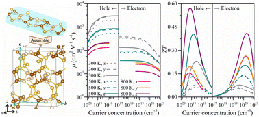 Graphical abstract: A penta-silicene nanoribbon-based 3D silicon allotrope with high carrier mobility and thermoelectric performance