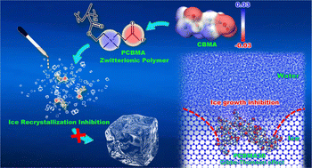 Graphical abstract: Ice recrystallization inhibition mechanism of zwitterionic poly(carboxybetaine methacrylate)