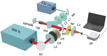 Graphical abstract: Laser polarization-controlled photoreduction of samarium ions in sodium aluminoborate glass