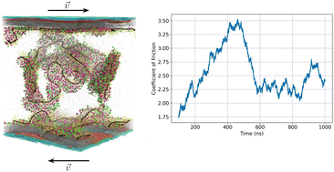 Graphical abstract: Shearing friction behaviour of synthetic polymers compared to a functionalized polysaccharide on biomimetic surfaces: models for the prediction of performance of eco-designed formulations