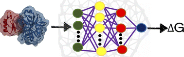 Graphical abstract: An artificial neural network model to predict structure-based protein–protein free energy of binding from Rosetta-calculated properties