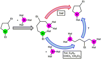 Graphical abstract: The mechanism of the replacement of aluminum atoms in 1-ethyl-3-alkylalumolanes by boron atoms with boron halides