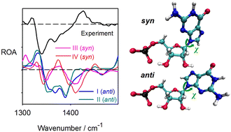 Graphical abstract: Molecular dynamics and Raman optical activity spectra reveal nucleotide conformation ratios in solution