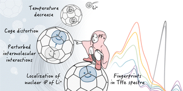 Graphical abstract: Localization of nuclear wave functions of lithium in [Li+@C60]PF6−: molecular insights into two-site disorder–order transition