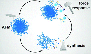 Graphical abstract: Microgels react to force: mechanical properties, syntheses, and force-activated functions