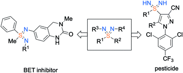 Graphical abstract: Sulfondiimines: synthesis, derivatisation and application