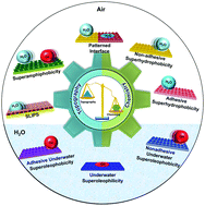 Graphical abstract: Role of chemistry in bio-inspired liquid wettability