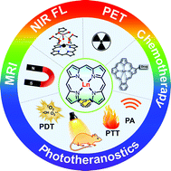 Graphical abstract: Lanthanide porphyrinoids as molecular theranostics