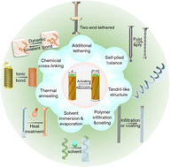 Graphical abstract: Tethering of twisted-fiber artificial muscles