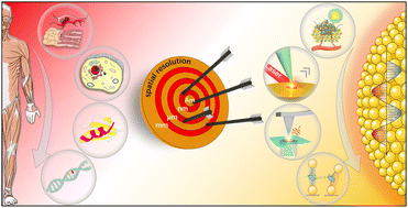 Graphical abstract: Advanced plasmonic technologies for multi-scale biomedical imaging