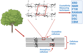 Graphical abstract: Comparison and assessment of methods for cellulose crystallinity determination