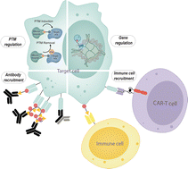 Graphical abstract: Proximity-inducing modalities: the past, present, and future