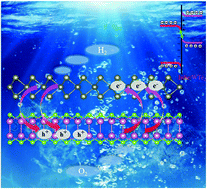 Graphical abstract: Direct Z-scheme WTe2/InSe van der Waals heterostructure for overall water splitting