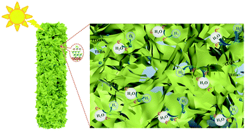 Graphical abstract: Facile and robust construction of a 3D-hierarchical NaNbO3-nanorod/ZnIn2S4 heterojunction towards ultra-high photocatalytic H2 production