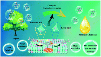 Graphical abstract: More than a support: the unique role of Nb2O5 in supported metal catalysts for lignin hydrodeoxygenation