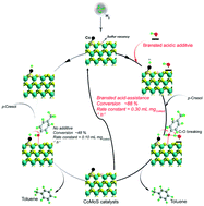 Graphical abstract: Brønsted acid-enhanced CoMoS catalysts for hydrodeoxygenation reactions