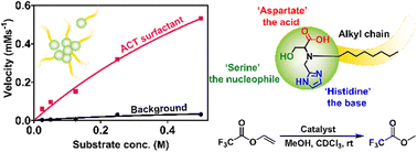 Graphical abstract: Simple synthetic route to an enzyme-inspired transesterification catalyst