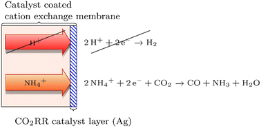 Graphical abstract: Electrochemical reaction of CO2 to CO on a catalyst coated cation exchange membrane enabled by ammonium proton shuttling