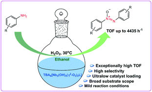 Graphical abstract: Catalytic selective oxidation of aromatic amines to azoxy derivatives with an ultralow loading of peroxoniobate salts