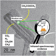 Graphical abstract: Hydrocarboxylation of methanol to methyl acetate using rhodium and ruthenium nanoparticles supported on titanate nanotubes as catalysts: infrared spectroscopy study