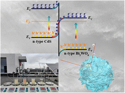 Graphical abstract: Promoting practical photodegradation application potential of a Bi2WO6-based step-scheme heterojunction under outdoor natural sunlight irradiation