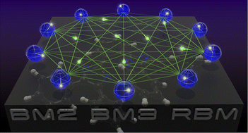 Graphical abstract: Artificial neural network encoding of molecular wavefunctions for quantum computing