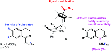 Graphical abstract: Carboxamide substituted tetramethylcyclopentadiene – synthesis, characterisation and its iridium(iii) complex catalysed reduction of imines