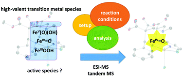 Graphical abstract: ESI and tandem MS for mechanistic studies with high-valent transition metal species