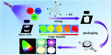 Graphical abstract: Color tunable of Ln-MOFs (Ln = Tb, Eu) and excellent stability for white light-emitting diode