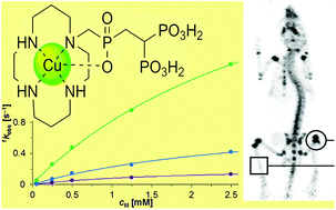 Graphical abstract: Cyclam with a phosphinate-bis(phosphonate) pendant arm is a bone-targeting carrier of copper radionuclides