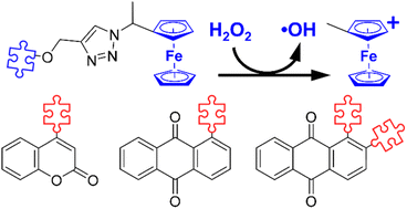 Graphical abstract: Ferrocene-appended anthraquinone and coumarin as redox-active cytotoxins
