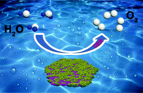 Graphical abstract: A hierarchical CoMoO4@CoFe-LDH heterostructure as a highly effective catalyst to boost electrocatalytic water oxidation