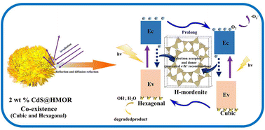 Graphical abstract: In situ growth of hierarchical phase junction CdS on a H-mordenite zeolite for enhanced photocatalytic properties