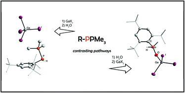 Graphical abstract: Modulating the reactivity of phosphanylidenephosphoranes towards water with Lewis acids