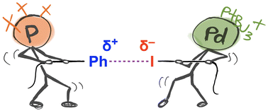 Graphical abstract: Heterolytic carbon–iodine bond cleavage by a palladium(i) metalloradical
