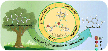 Graphical abstract: Hydrophobic species-enabled acid–base multi-catalysis for stereoselective access to renewable trans-anethole