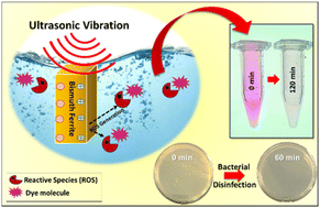 Graphical abstract: Piezo-responsive bismuth ferrite nanoparticle-mediated catalytic degradation of rhodamine B and pathogenic E. coli in aqueous medium and its extraction using external magnetic stimulation after successful treatment