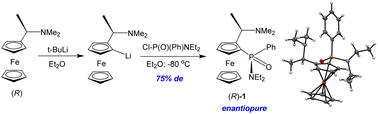 Graphical abstract: Ferrocene-based P-chiral amidophosphinate: stereoselective synthesis and X-ray structural study