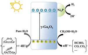 Graphical abstract: Self-assembly of Ni2P/γ-Ga2O3 nanosheets for efficient photocatalytic water splitting hydrogen production