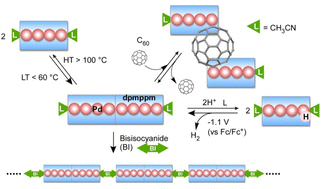 Graphical abstract: Aiming for dynamic behaviours of molecular metal chains