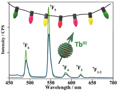 Graphical abstract: Magnetic and optical studies of a new family of multidimensional and multiproperty PO-lanthanide(iii) derived systems