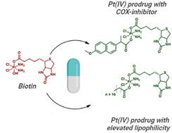 Graphical abstract: Biotinylated Pt(iv) prodrugs with elevated lipophilicity and cytotoxicity