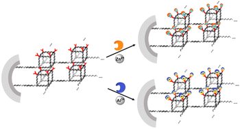 Graphical abstract: A DNA-Schiff base functional nanopore sensing platform for the highly sensitive detection of Al3+ and Zn2+ ions