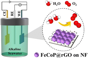 Graphical abstract: Robust FeCoP nanoparticles grown on a rGO-coated Ni foam as an efficient oxygen evolution catalyst for excellent alkaline and seawater electrolysis