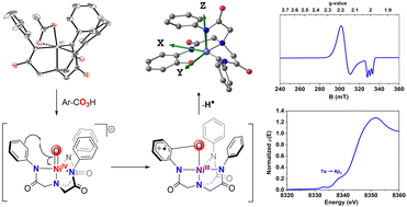 Graphical abstract: Aromatic and aliphatic hydrocarbon hydroxylation via a formally NiIV [[double bond, length as m-dash]] O oxidant