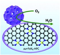 Graphical abstract: Highly accessible and dense surface single metal FeN4 active sites for promoting the oxygen reduction reaction