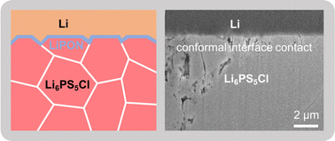 Graphical abstract: Interfacial modification between argyrodite-type solid-state electrolytes and Li metal anodes using LiPON interlayers